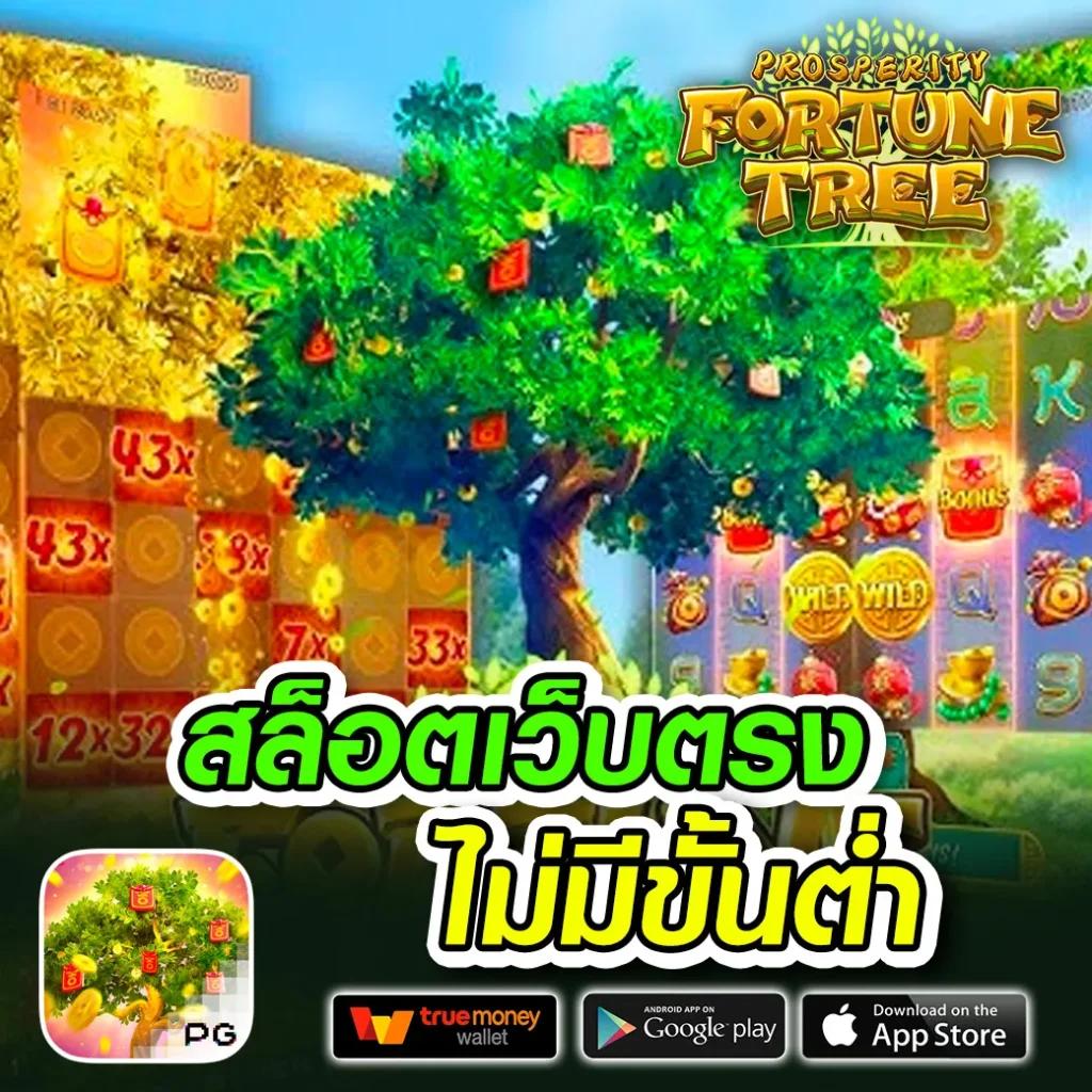 scb9 เว็บตรง สล็อต ฝากถอนออโต้ ไม่ผ่านเอเย่นต์ 2026